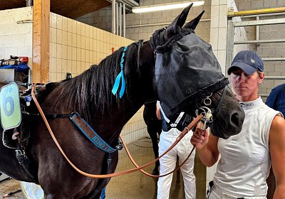 2024 09 25 Daglfing IMG 1095 King