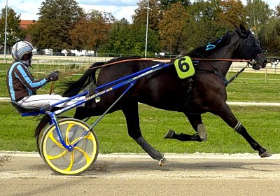 2024 09 25 Daglfing IMG 1117 King