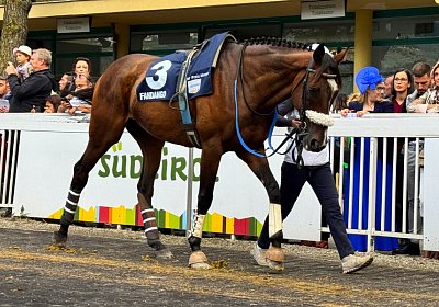 2024 09 29 Meran Fandango IMG 1557