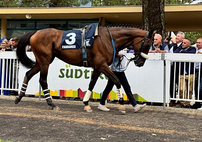 2024 09 29 Meran Fandango IMG 1558