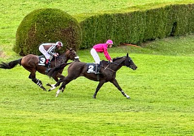 2024 09 29 Meran Fandango IMG 1613