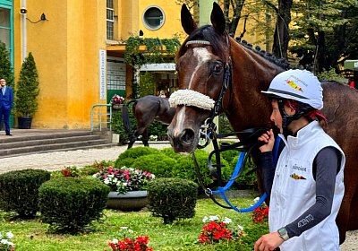 2024 09 29 Meran Fandango IMG 1661