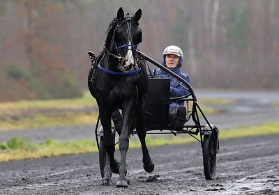 Haras de Peterhof, Nachwuchs-Training (20.12.2025)