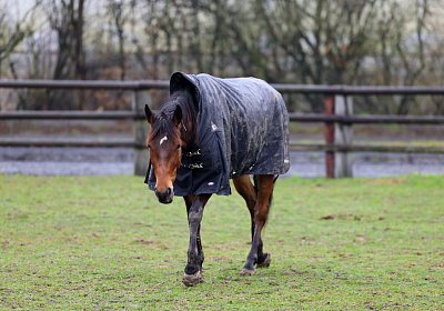 9N1A2695 La Formidable