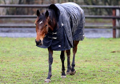 9N1A2709 La Formidable