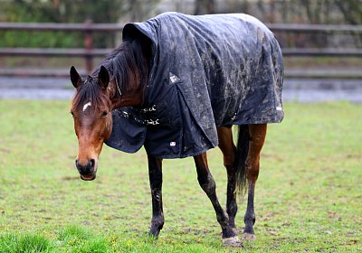 9N1A2725 La Formidable