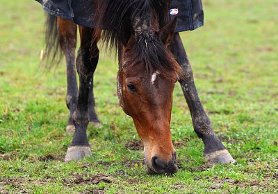 9N1A2891 La Formidable