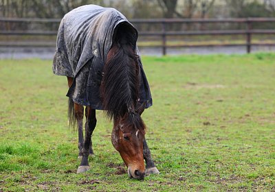 9N1A2904 La Formidable