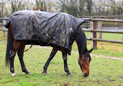 9N1A2953 Mamma Paulo