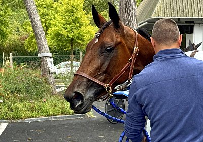 DIVINA in 11.0 Zweite in Vincennes! (13.9.2025)