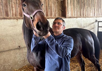 Z Maggiore Gestuet 1