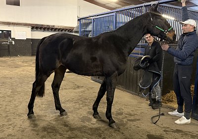 IMG 3255 Harper Seabrook