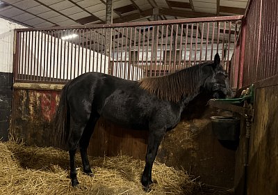 IMG 3302 One More Dream