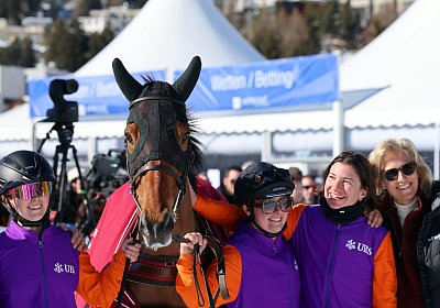 G nv 03 26 almacado gree