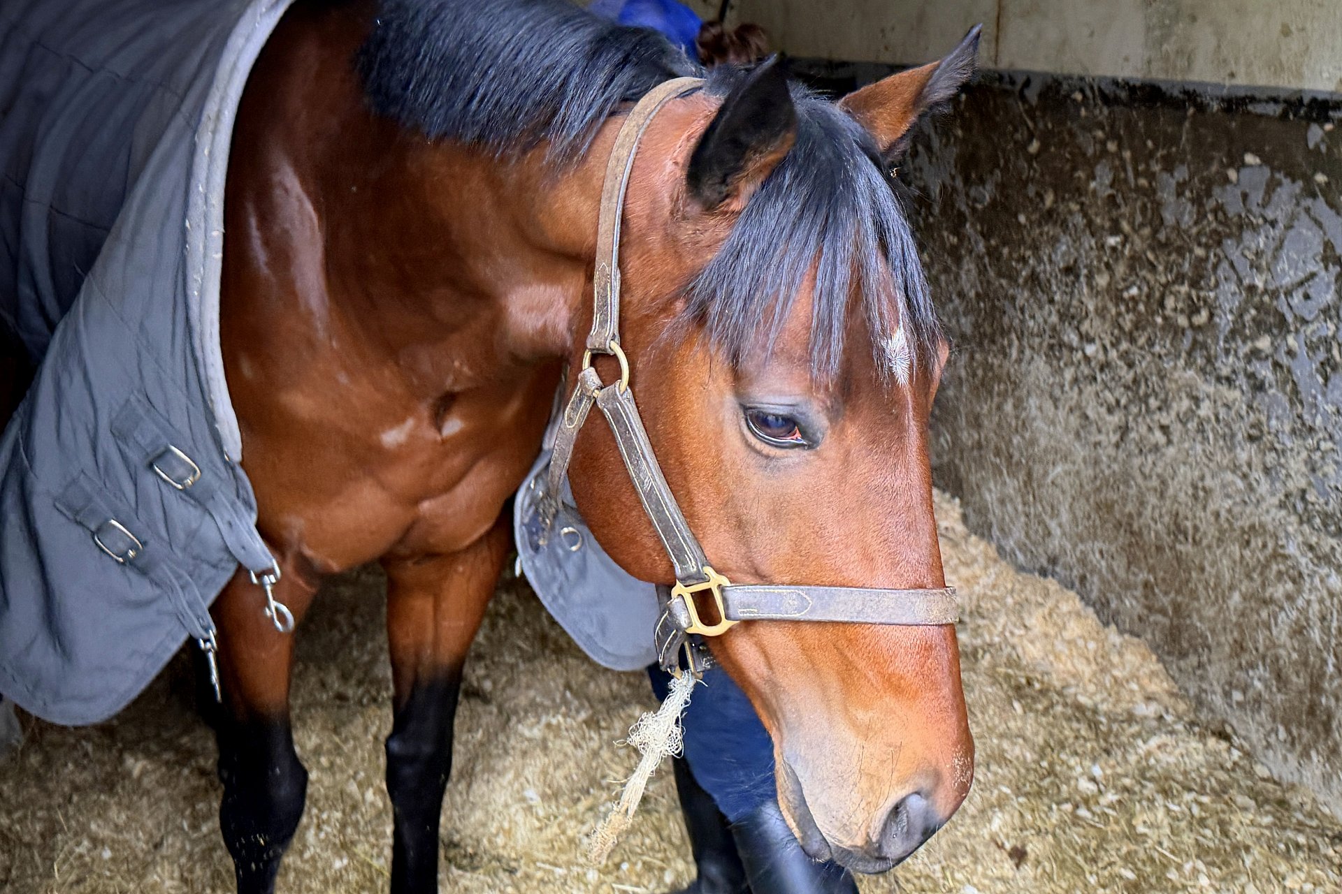 St. Moritz, 08.02.2026