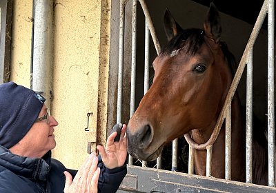 IMG 4255 Almacado Gree