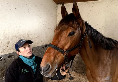 IMG 4268 Almacado Gree