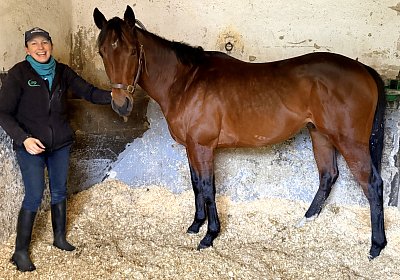 Deauville, 16.01.2026