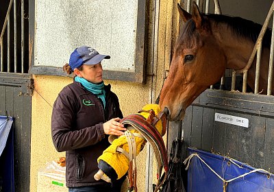 IMG 4302 Almacado Gree