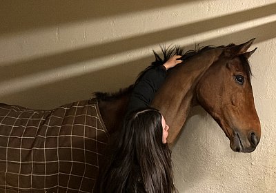 IMG 5271 Almacado Gree