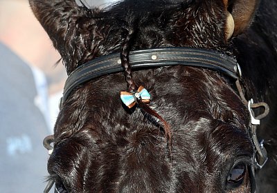 C nv 01 22 harper seabrook