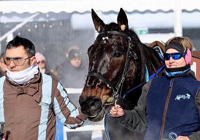 C nv 01 24 harper seabrook