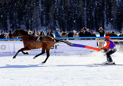 H nv 03 04 almacado gree