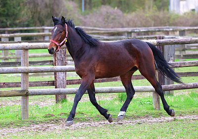 9N1A4990 Its Showtime