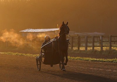 9N1A5813 Its Showtime