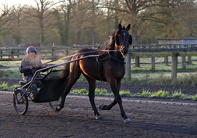 9N1A5829 Its Showtime