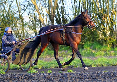 9N1A5944 Its Showtime