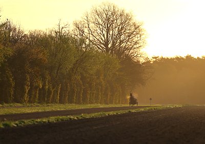 9N1A6051 Its Showtime