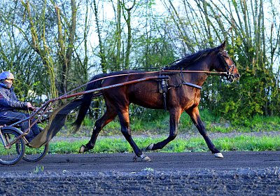 9N1A6137 Its Showtime