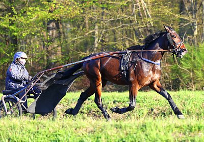 9N1A9084 Its Showtime