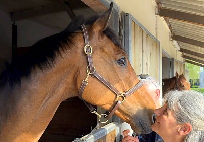 Strassburg 2026 04 18 1 IMG 8229 Almi