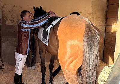 Strassburg 2026 04 18 1 IMG 8242 Almi