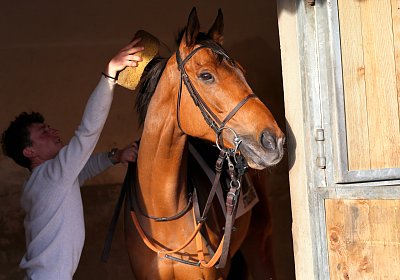 Strassburg 2026 04 18 9N1A4103 Almi