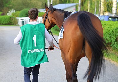 Strassburg 2026 04 18 9N1A4130 Almi