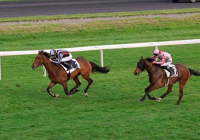 Strassburg 2026 04 18 9N1A4503 Almi