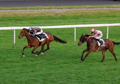 Strassburg 2026 04 18 9N1A4504 Almi