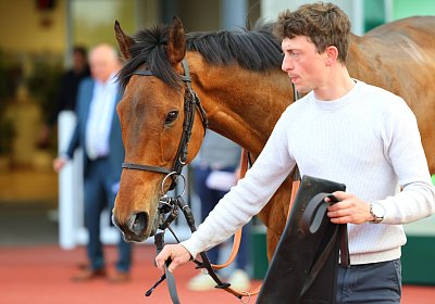 Strassburg 2026 04 18 9N1A4593 Almi