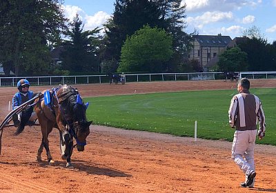 D Bihorel 2026 04 19 Espada