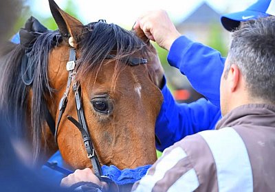 M Bihorel 2026 04 19 Espada