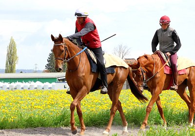 Landihof 2026 04 19 9N1A4740 Krakan
