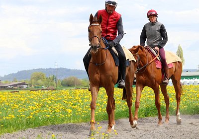 Landihof 2026 04 19 9N1A4747 Krakan