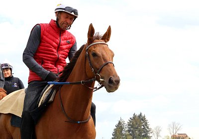 Landihof 2026 04 19 9N1A4767 Krakan