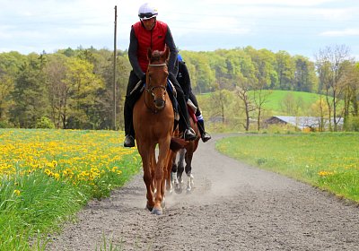 Landihof 2026 04 19 9N1A4805 Krakan