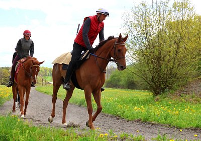 Landihof 2026 04 19 9N1A4845 Krakan