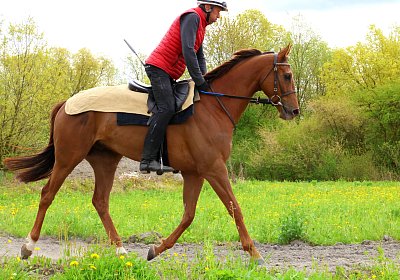 Landihof 2026 04 19 9N1A4861 Krakan