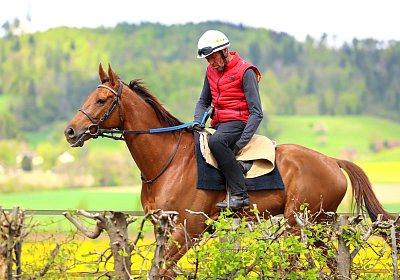 Landihof 2026 04 19 9N1A5053 Krakan